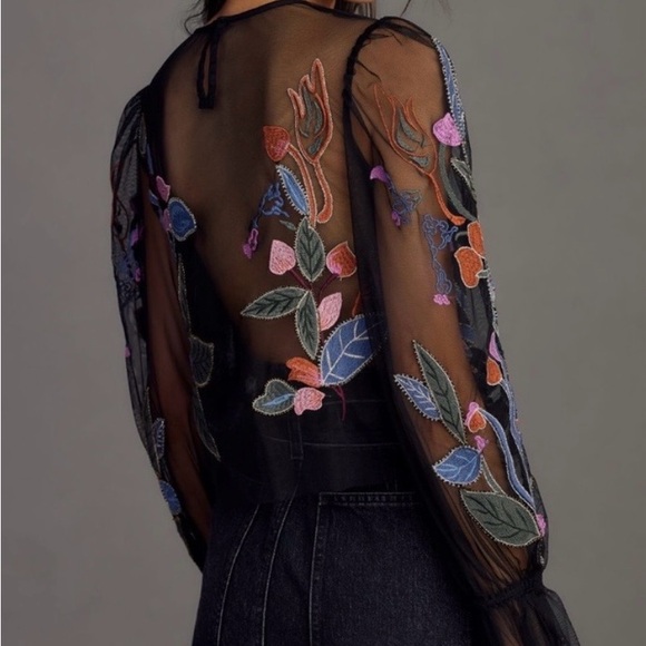 Anthropologie The Layla Long Sleeve Appliqué Mesh Blouse - Picture 2 of 6